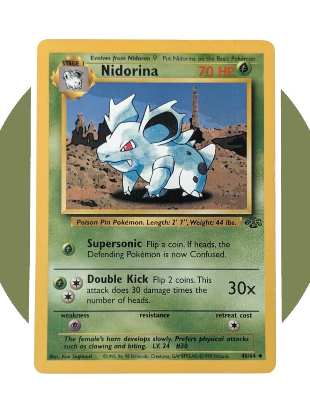 Jungle Pokemon Card (Y06): Nidorina 40/64
